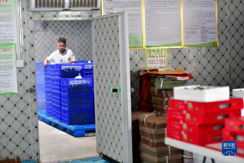 现金下分捕鱼